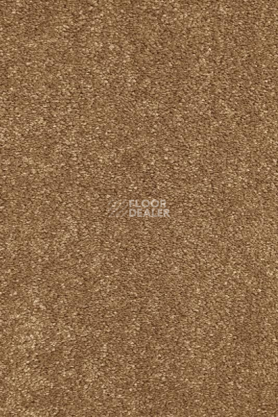 Ковролин AW Gaia Equinox 80 фото 1 | FLOORDEALER